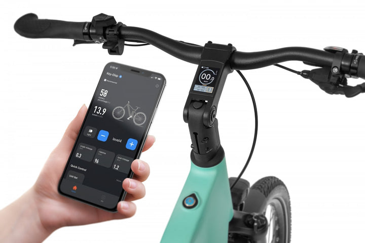 Ecobike LX 500 Mint 2026
