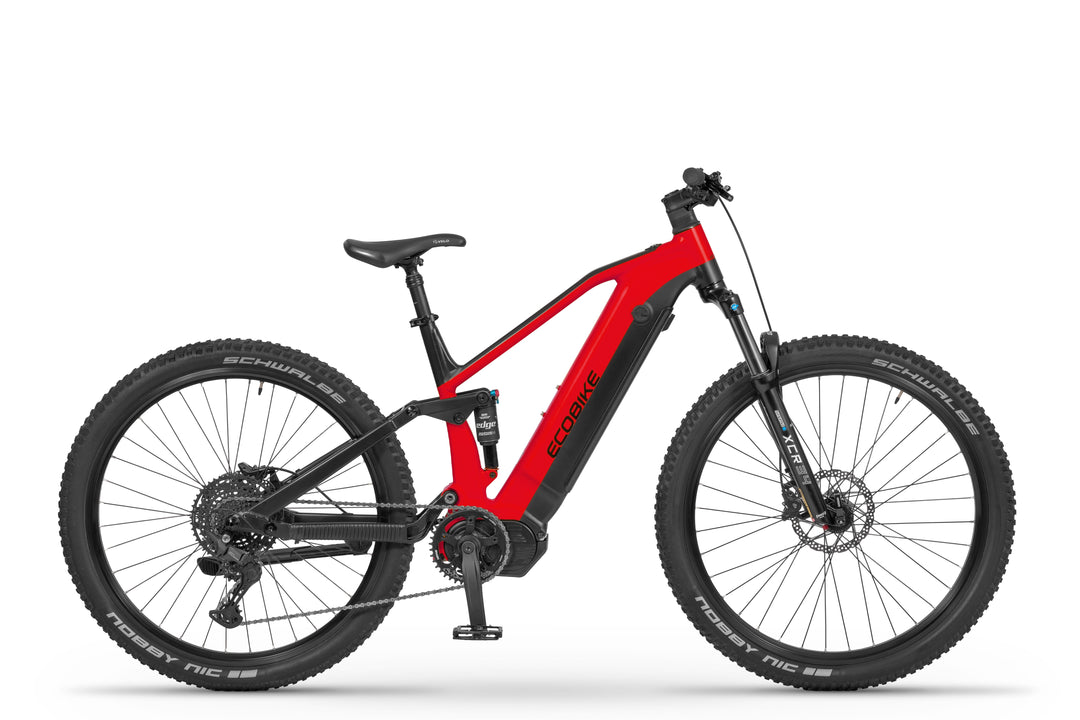 Ecobike RX 500 MAX - Vollansicht