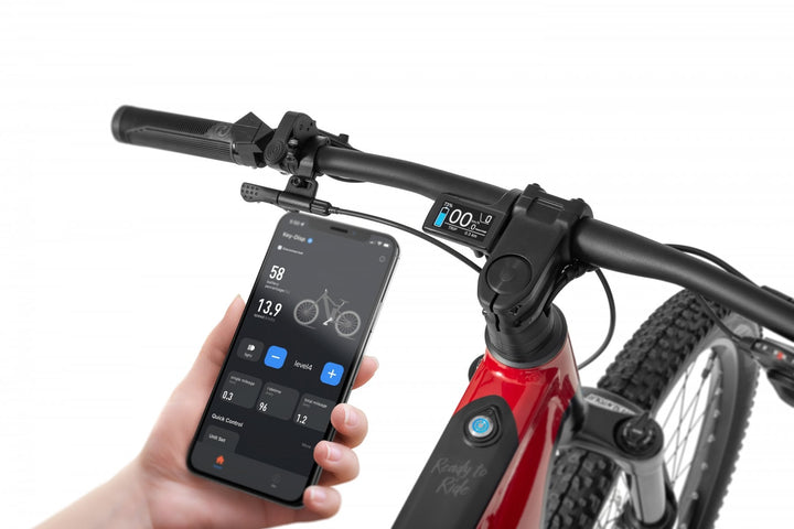 Ecobike RX 500 MAX Rot-Schwarz - hintere Ansicht