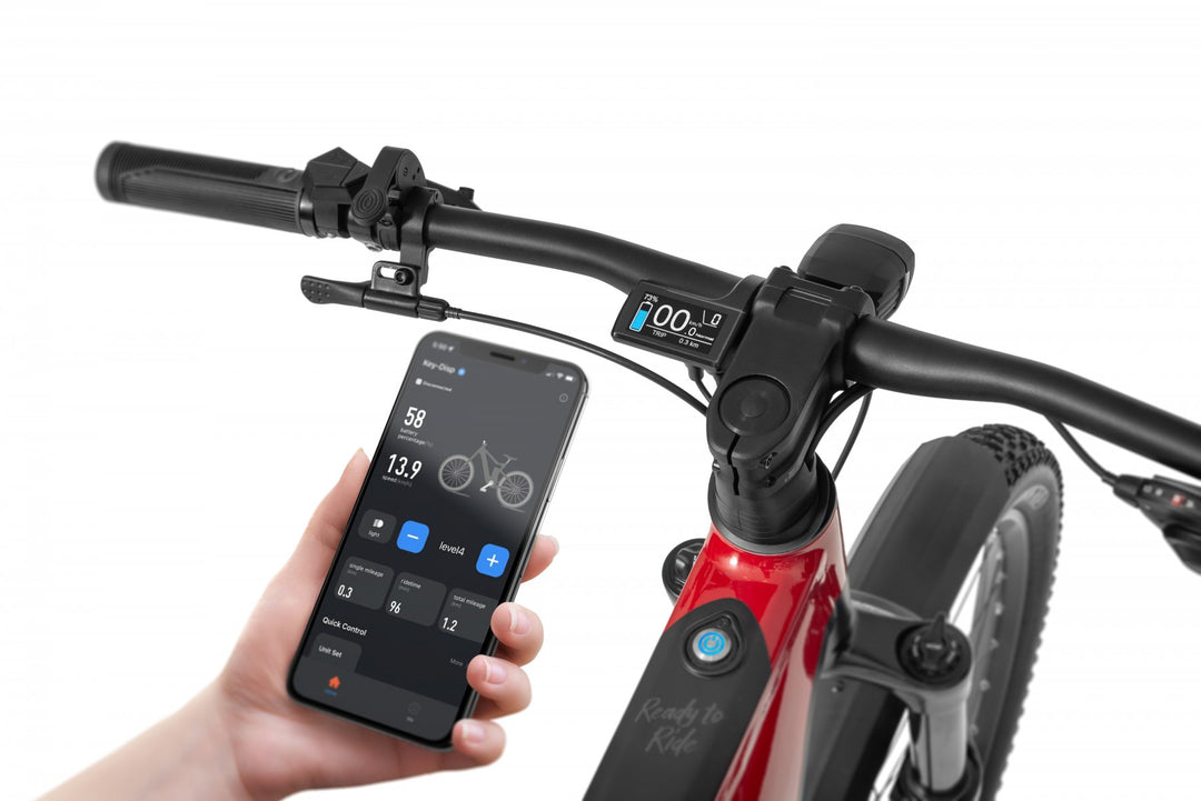 Ecobike RX 500 V4 mountain bike e-bike pedelec, Ananda 130Nm