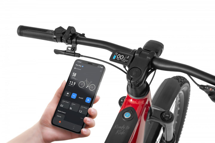 Ecobike RX 500 V4 mountain bike e-bike pedelec, Ananda 130Nm