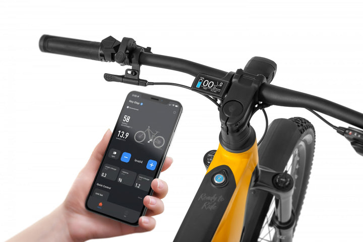 Ecobike RX 500 V4 mountain bike e-bike pedelec, Ananda 130Nm