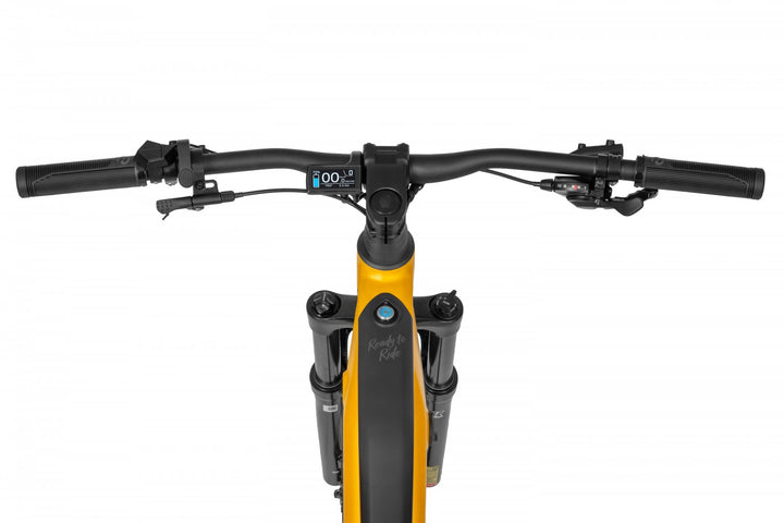 Ecobike RX 500 V4 mountain bike e-bike pedelec, Ananda 130Nm