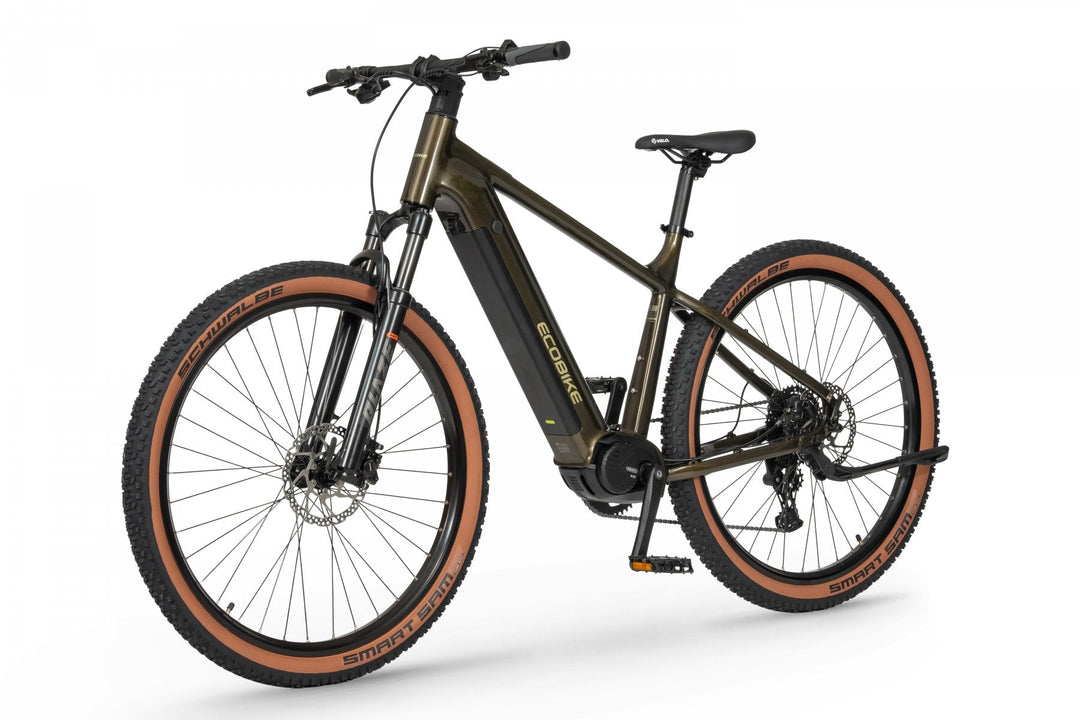 Ecobike SX 300 Green Metallic 2026 – Rahmen Detail