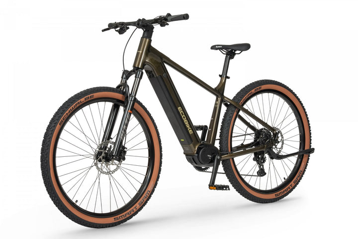 Ecobike SX 300 Green Metallic 2026 – Rahmen Detail