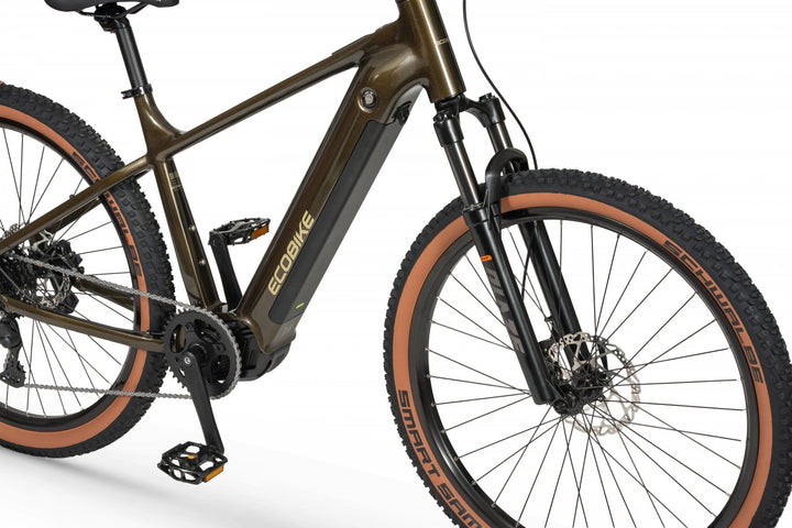 Ecobike SX 300 Green Metallic 2026 – Schwalbe Smart Sam