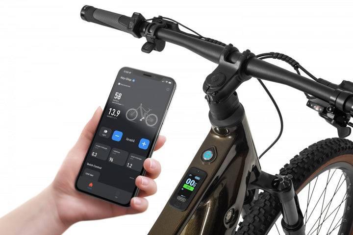 Ecobike SX 300 Green Metallic 2026 – Seitenansicht
