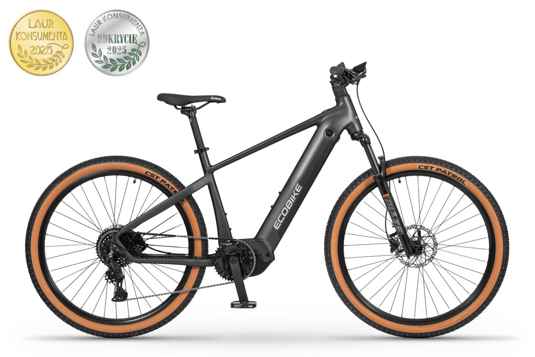 Ecobike CORE 2026 Arctic Fade/Moonstone -Mountainbike E-Bike Pedelec, Panasonic 100Nm
