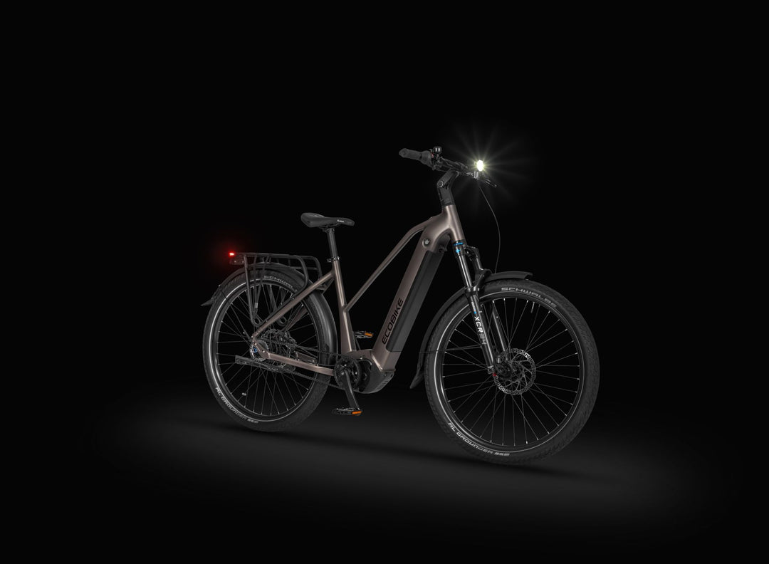 Ecobike Dare GX Ultimate, Detail 2
