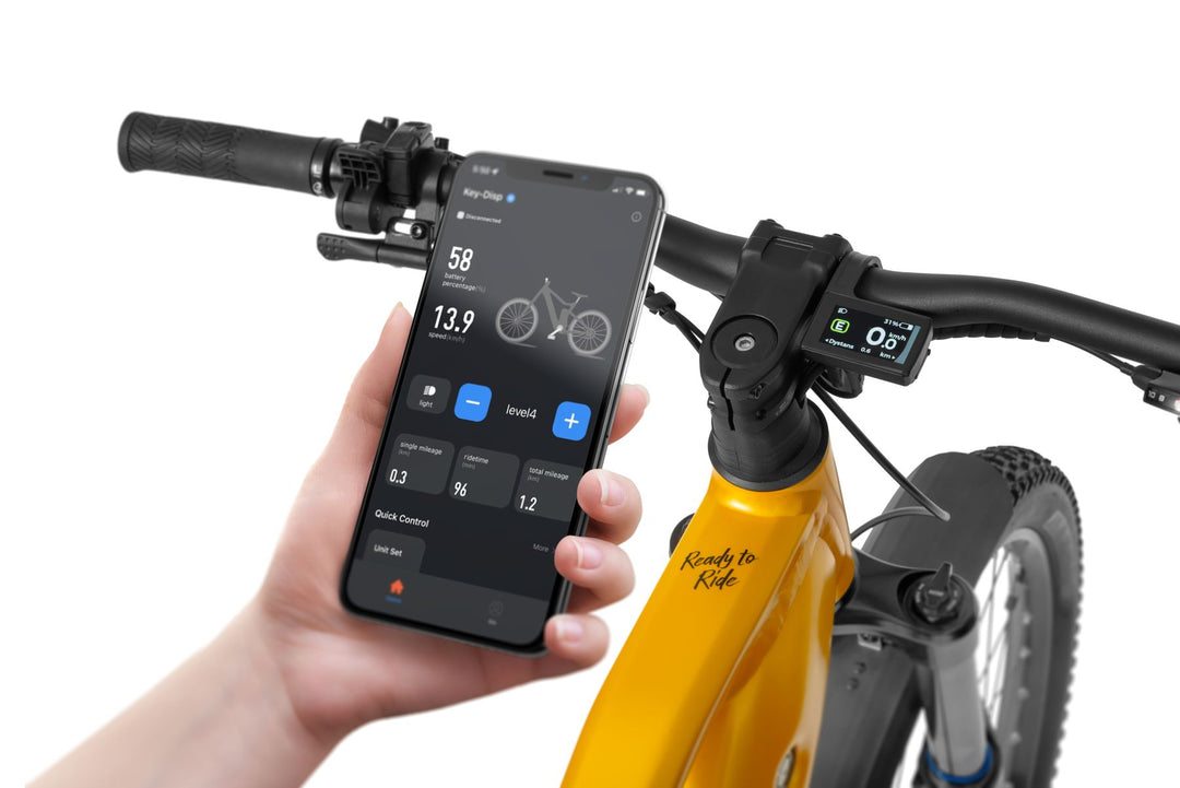Ecobike RX 600 MAX SUV Gelb 2027, Detail 6