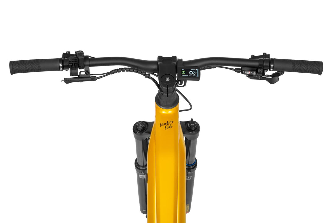 Ecobike RX 600 MAX SUV Gelb 2027, Detail 11