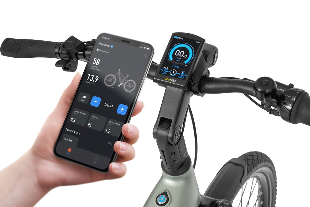 Ecobike LX 400 Silber City E-Bike PedelecL, Nabenschaltung, Mittelmotor, Riemenantrieb Gates, Ananda 80Nm