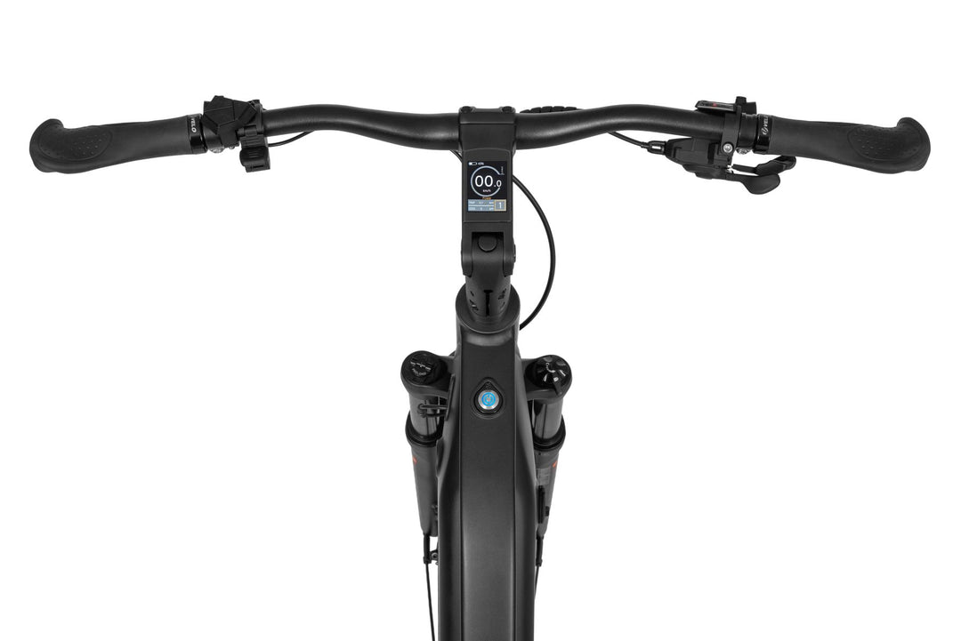 Ecobike LX 500 Graphite/Mint - Trekking E-Bike Pedelec, Ananda 130Nm