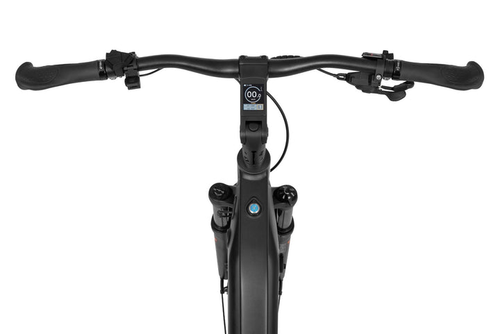 Ecobike LX 500 Graphite/Mint - Trekking E-Bike Pedelec, Ananda 130Nm