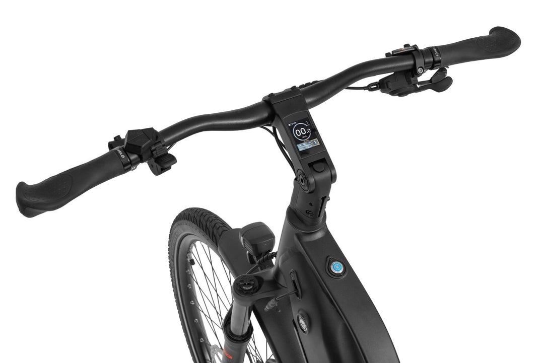 Ecobike LX 500 Graphite/Mint - Trekking E-Bike Pedelec, Ananda 130Nm
