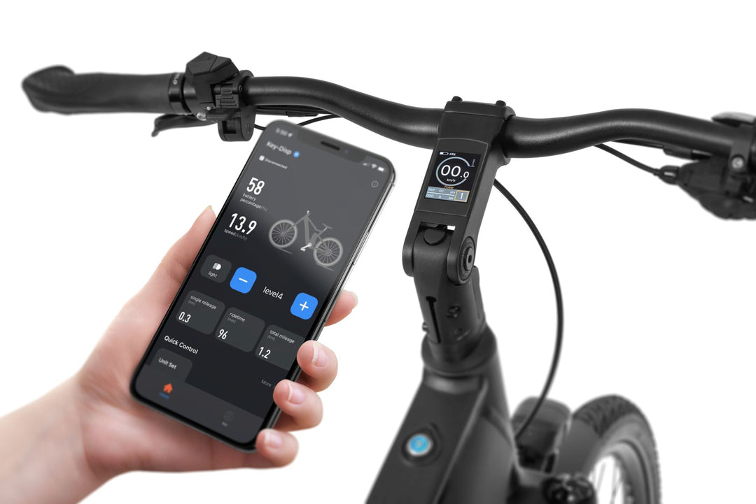 Ecobike LX 500 Graphite/Mint - Trekking E-Bike Pedelec, Ananda 130Nm