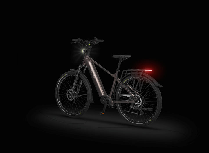 Ecobike MX 300 Golden Grey 2026 – Trekking E-Bike Herren mit Bafang 100 Nm