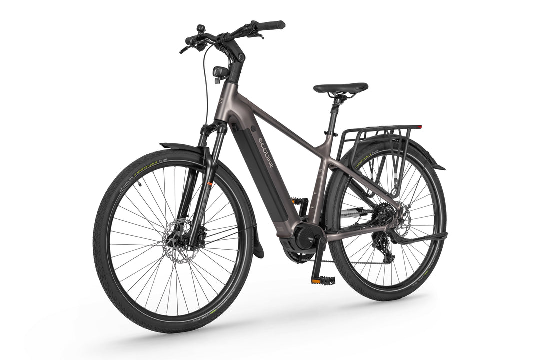 Ecobike MX 300 Golden Grey 2026 – Trekking E-Bike Herren mit Bafang 100 Nm