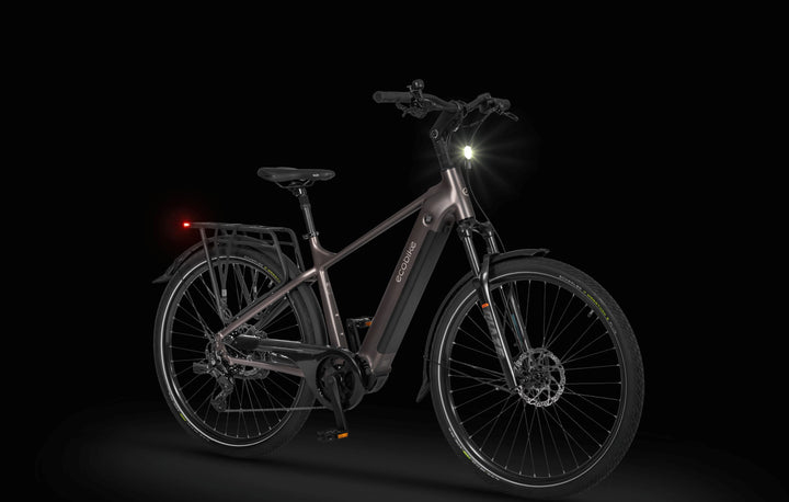 Ecobike MX 300 Golden Grey 2026 – Trekking E-Bike Herren mit Bafang 100 Nm