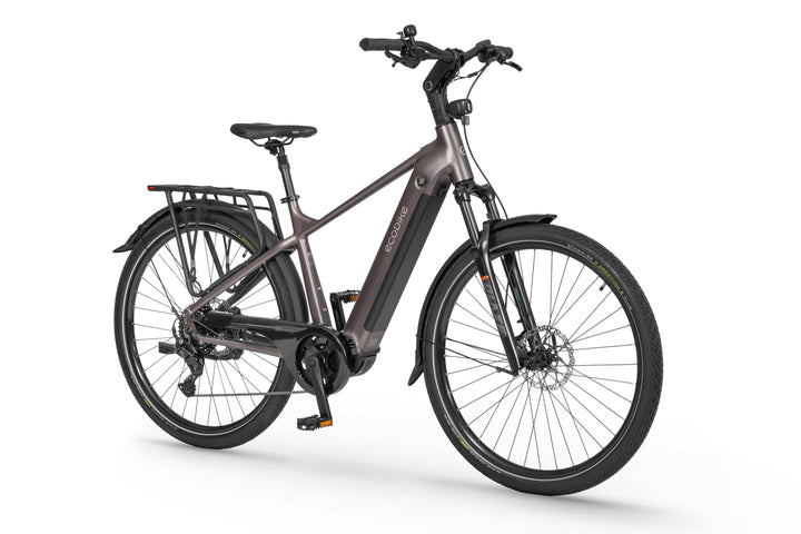 Ecobike MX 300 Golden Grey 2026 – Trekking E-Bike Herren mit Bafang 100 Nm