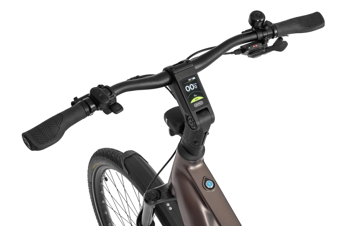 Ecobike MX 300 Golden Grey 2026 – Trekking E-Bike Herren mit Bafang 100 Nm
