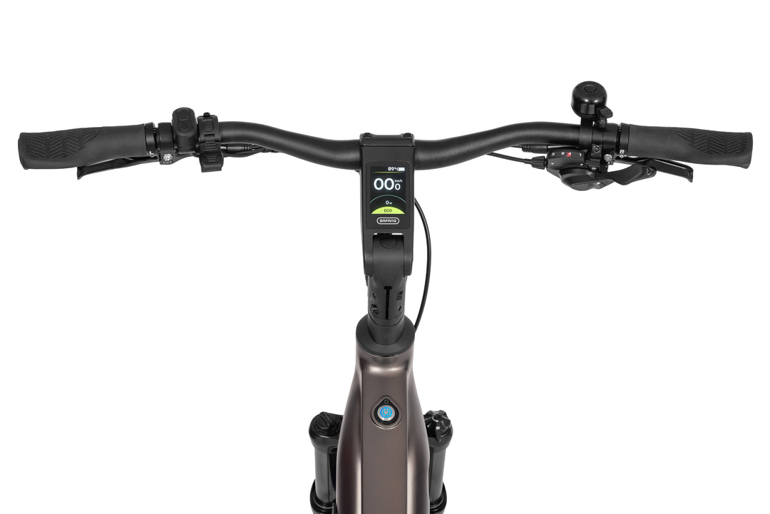 Ecobike MX 300 Golden Grey 2026 – Trekking E-Bike Herren mit Bafang 100 Nm