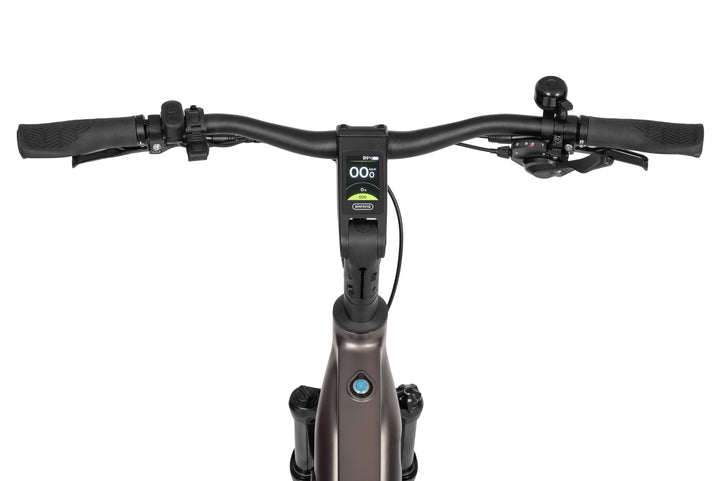 Ecobike MX 300 Golden Grey 2026 – Trekking E-Bike Herren mit Bafang 100 Nm