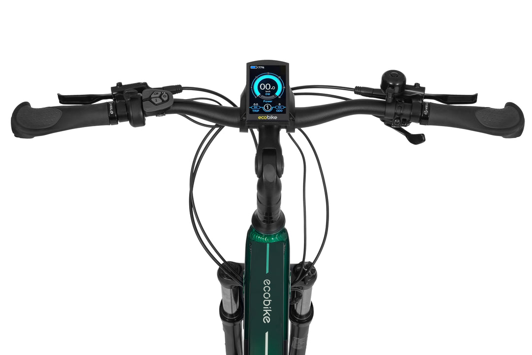 Ecobike MX 300 Grün 19"- Trekking E-Bike Herren Pedelec, Ananda Motor