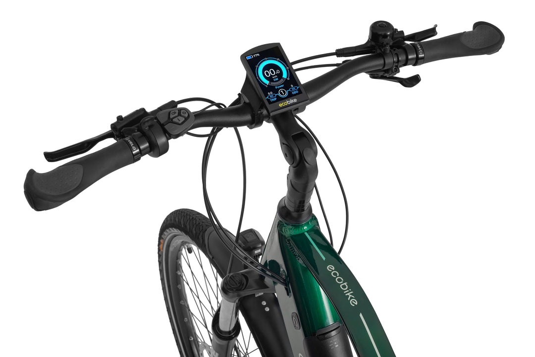 Ecobike MX 300 Grün 19"- Trekking E-Bike Herren Pedelec, Ananda Motor