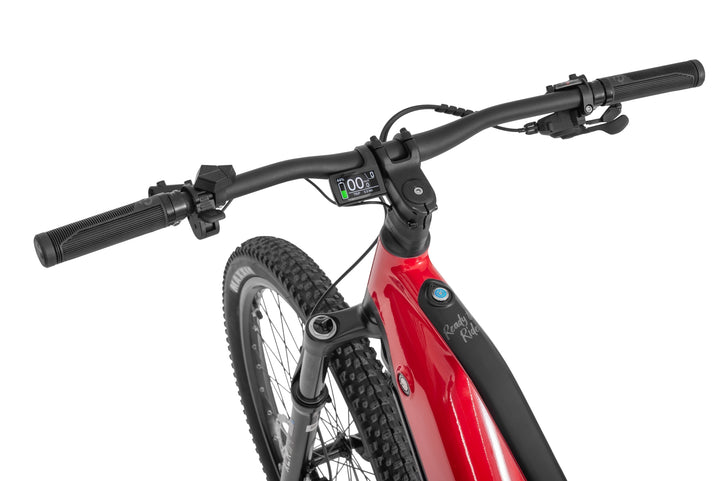 Ecobike RX 500 17" 19" 21"- Mountainbike E-Bike Herren Pedelec, Ananda 130Nm, Akku 720/960Wh Mod. 2025