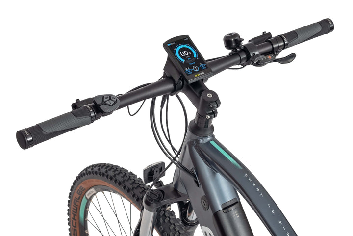 Ecobike SX 300 Grau 20" -Mountainbike E-bike Pedelec, Ananda Motor