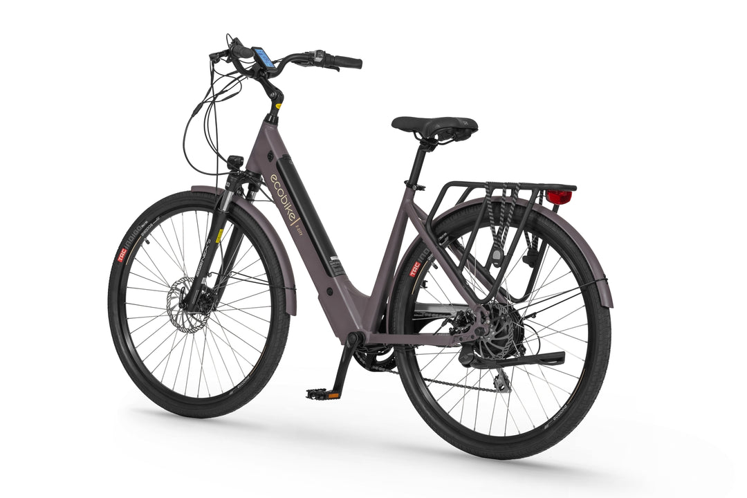 Ecobike X-CITY Coffee 19"- City E-Bike Damen Pedelec, Tiefeinsteiger, Bafang Motor